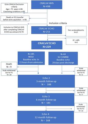 Serial echocardiographic evaluation of COVID-19 patients without prior history of structural heart disease: a 1-year follow-up CRACoV-HHS study